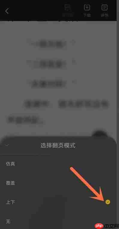 布袋鼠小说app怎么设置翻页模式-翻页模式设置入口  第3张