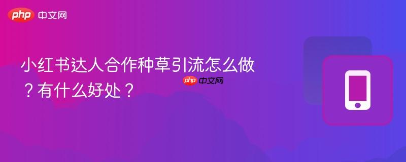 小红书达人合作种草引流怎么做？有什么好处？  第1张