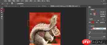 photoshop快速抠动物毛发的方法  第1张