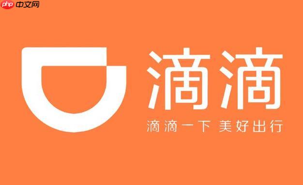 滴滴2025年度报告隐藏彩蛋 滴滴出行年度称号怎么领  第1张