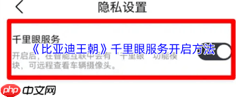 比亚迪王朝app千里眼功能如何开启 第1张 比亚迪王朝app千里眼功能如何开启 第1张
