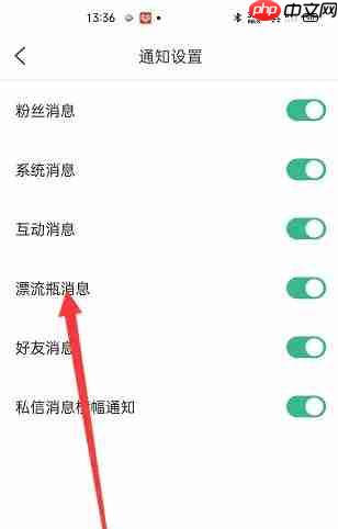 爆米花视频app怎么关闭漂流瓶-漂流瓶消息设置  第3张