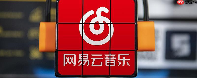 网易云音乐如何更换播放器界面的黑胶唱片皮肤【教程】  第1张