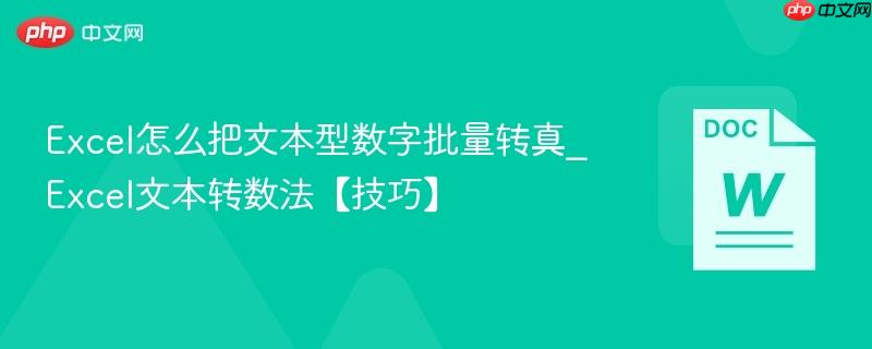 Excel怎么把文本型数字批量转真_Excel文本转数法【技巧】