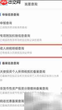 如何查询个税工资明细  第2张