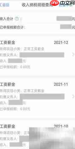 如何查询个税工资明细  第4张