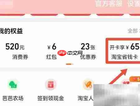 开通淘宝省钱卡指南  第2张