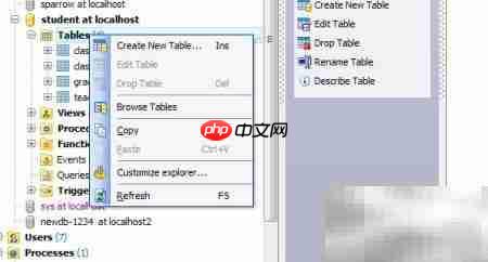 Maestro建表指南  第4张