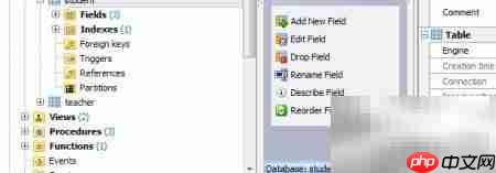 Maestro建表指南  第10张