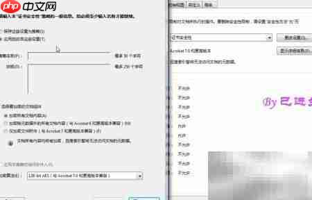 PDF加密与安全保护方法  第8张