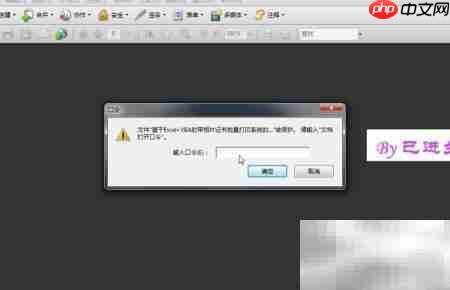 PDF加密与安全保护方法  第14张