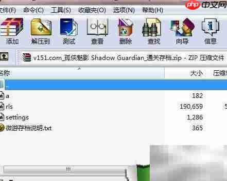 孤侠魅影通关存档  第3张