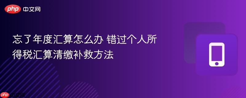 忘了年度汇算怎么办 错过个人所得税汇算清缴补救方法  第1张