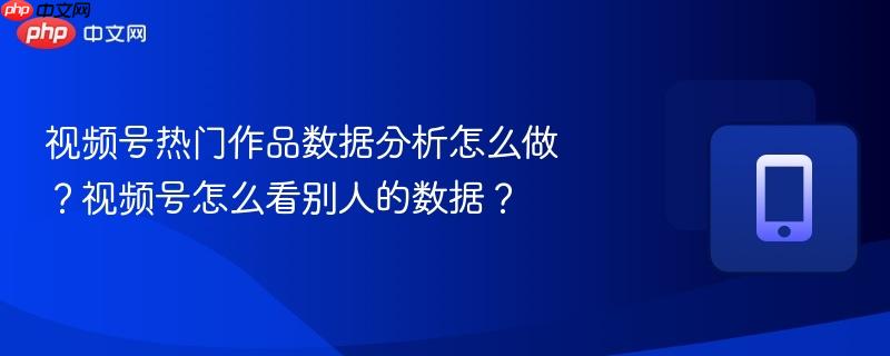 视频号热门作品数据分析怎么做?视频号怎么看别人的数据? 第1张 视频号热门作品数据分析怎么做?视频号怎么看别人的数据? 第1张