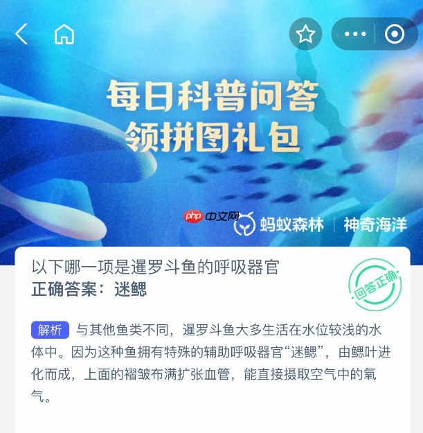 以下哪一项是暹罗斗鱼的呼吸器官  第1张