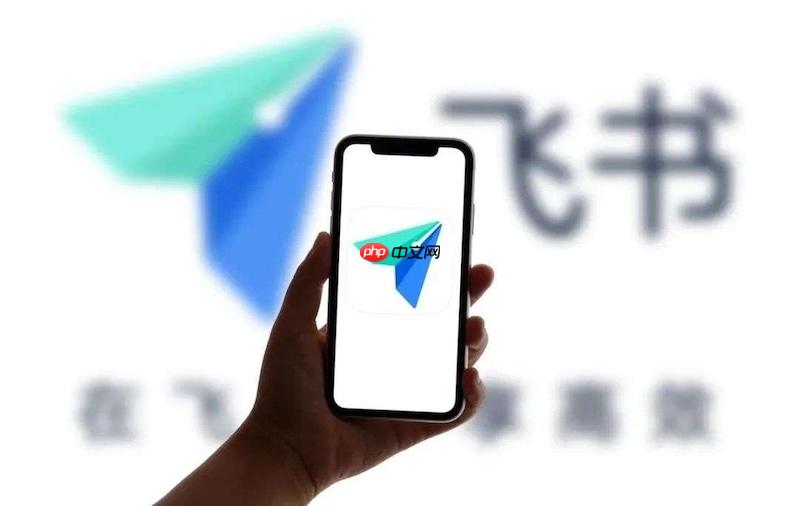 飞书账号安全提示无法解除怎么办 飞书账号安全设置与解除方法  第1张