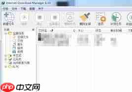 IDM下载器怎么设置中文  第2张