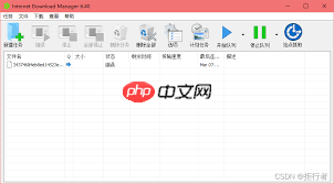 IDM下载器怎么设置中文  第1张