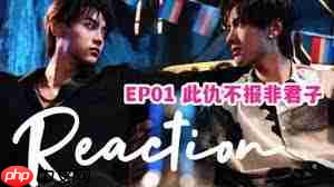 在哪看顺恨电视剧  第2张