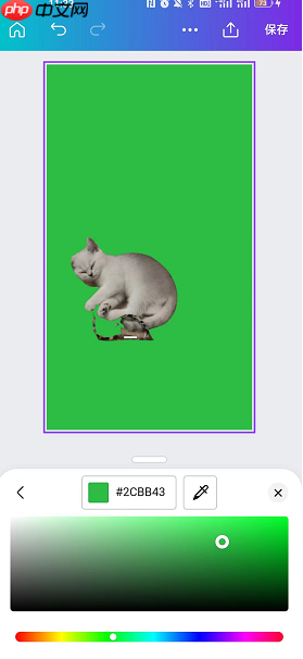 《canva可画》更换背景颜色教程  第3张