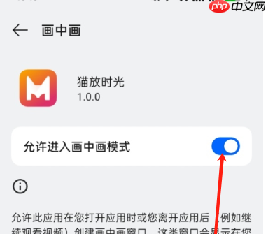 猫放时光app小屏观看方法 第3张 猫放时光app小屏观看方法 第3张