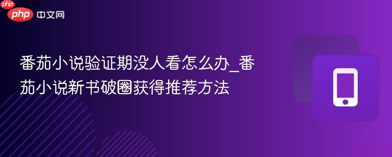 番茄小说验证期没人看怎么办_番茄小说新书破圈获得推荐方法  第1张