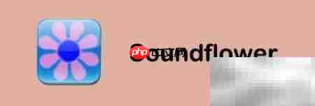 Mac用QuickTime录屏无回音技巧 第1张 Mac用QuickTime录屏无回音技巧 第1张