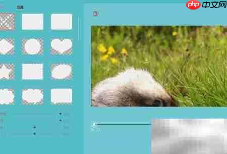 浪漫特效包免费领取  第13张