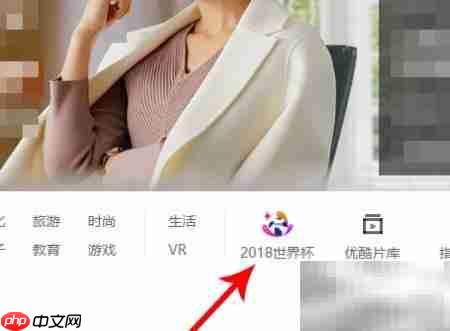 优酷看世界杯入口指南  第3张
