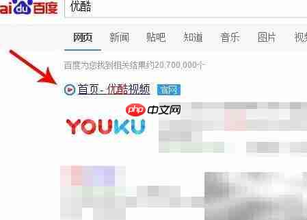 优酷看世界杯入口指南  第2张