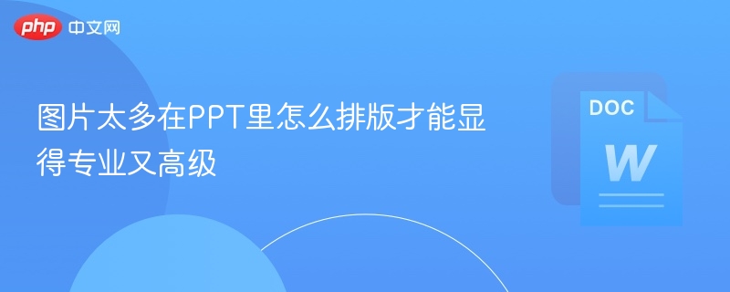 图片太多在PPT里怎么排版才能显得专业又高级  第1张