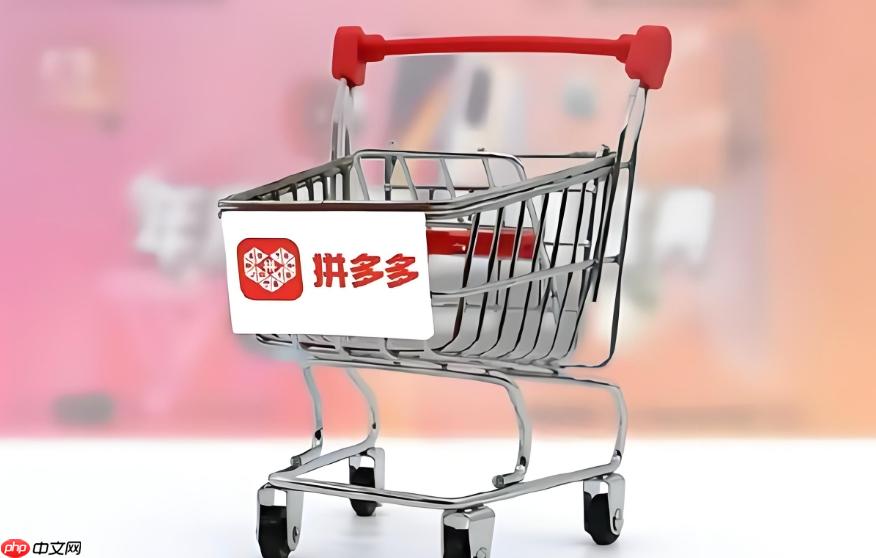 拼多多商家版下载app官网_拼多多商家版网页入口官网  第1张