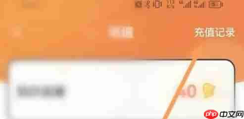 点点穿书app历史充值记录在哪-历史充值记录查看方法  第3张