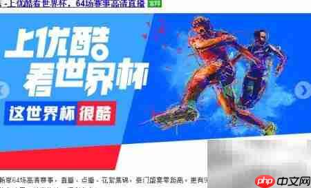 优酷看世界杯指南 第3张 优酷看世界杯指南 第3张