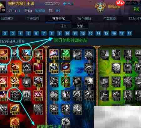 黑白瑞文符文天赋加点 第1张 黑白瑞文符文天赋加点 第1张