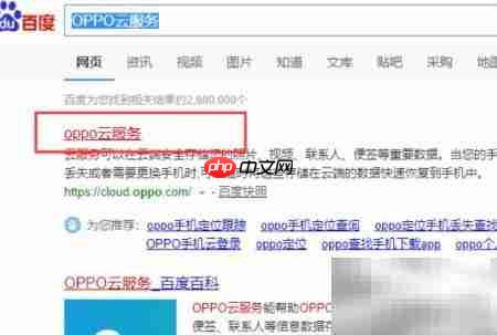 OPPO云服务使用指南  第4张