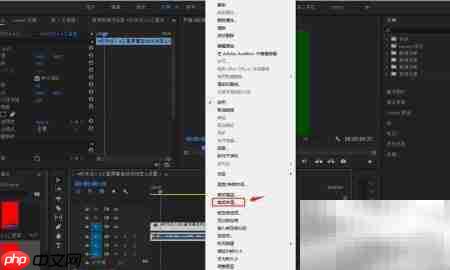 PR调整素材帧速率技巧  第4张