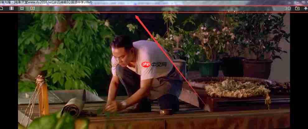 影音先锋怎么截图？-影音先锋截图的方法  第2张