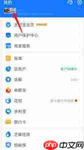 支付宝账号是手机号吗  第1张