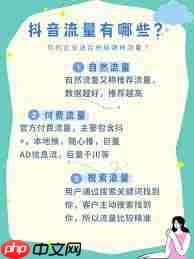 抖音流量推广平台有哪些  第1张