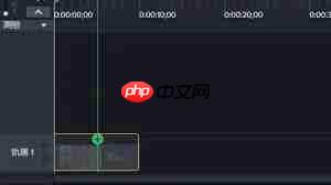 Camtasia Studio如何调整倍速 第2张 Camtasia Studio如何调整倍速 第2张