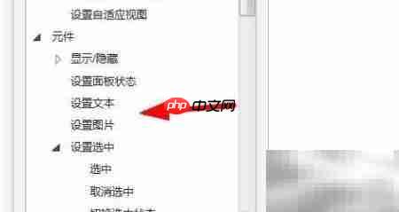 Axure富文本斜体设置方法  第4张