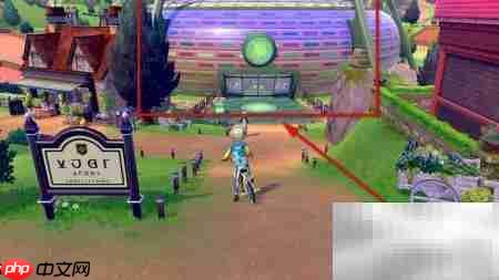 剑盾超极巨化方法揭秘  第3张