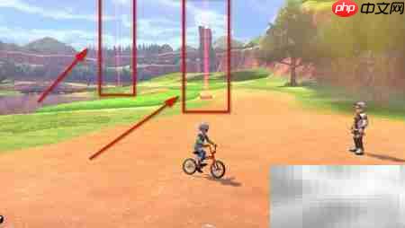 剑盾超极巨化方法揭秘  第6张