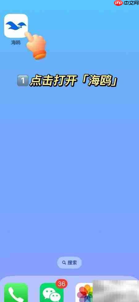 海鸥APP签到指南  第1张