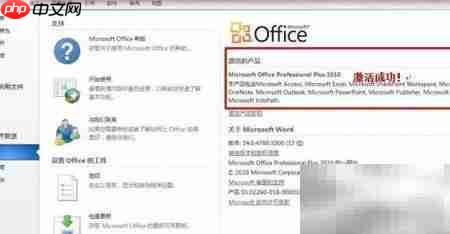 Office 2010正版激活指南  第4张
