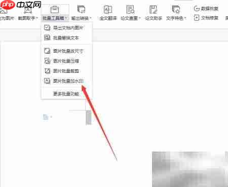 WPS批量图片加水印教程 第3张 WPS批量图片加水印教程 第3张