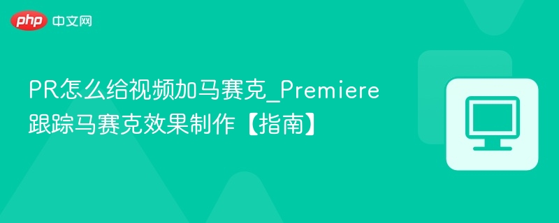 PR怎么给视频加马赛克_Premiere跟踪马赛克效果制作【指南】