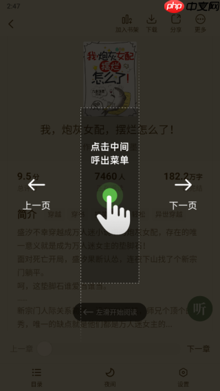 绿豆免费小说app阅读教程  第3张
