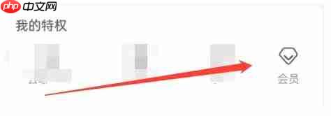 蜜疯直播app会员怎么开通-会员开通方式  第2张